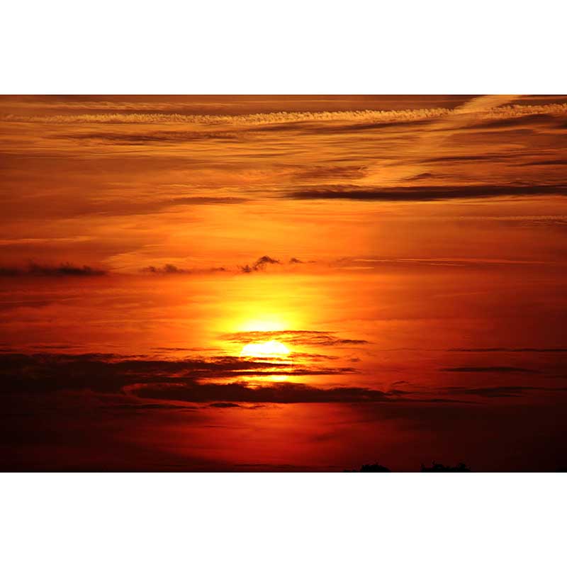 Modern Dusk Wall Murals for Dining Room in Yellow Color, Made to Measure