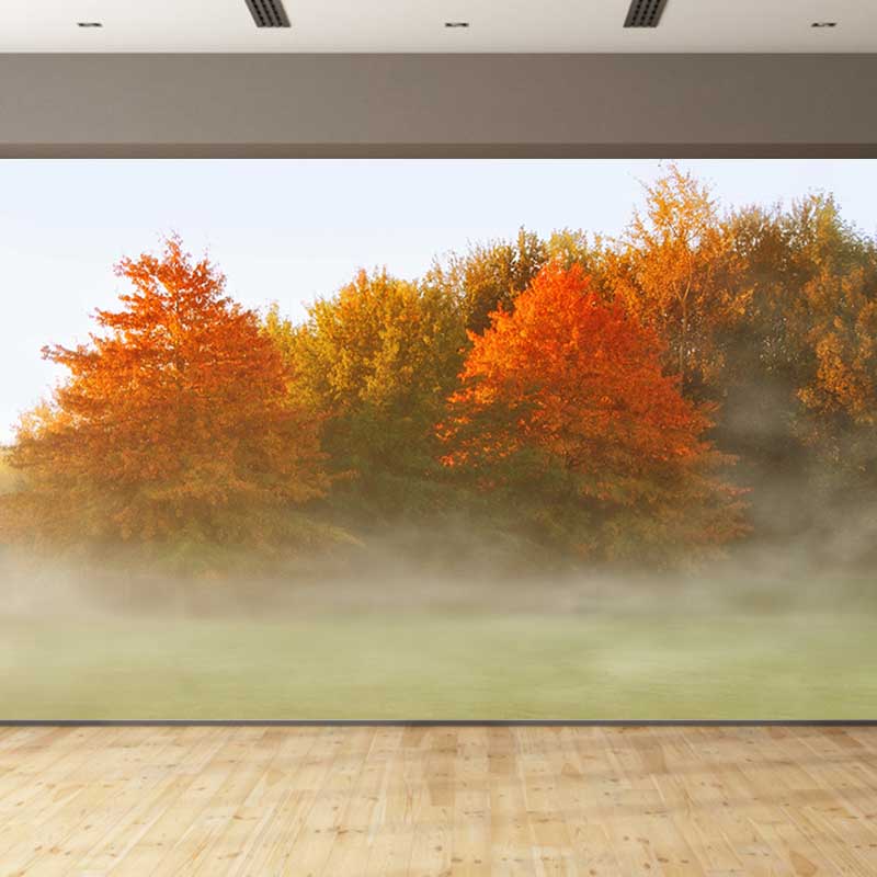 Fall Forest Mural Modern Murals Wallpaper for Living Room Moisture Resistant, Custom Size Available