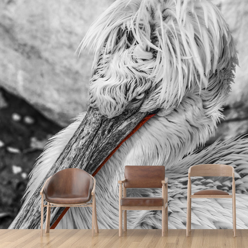 Feather Wall Mural Decal Home Decor for Living Room Girls Women Bedroom