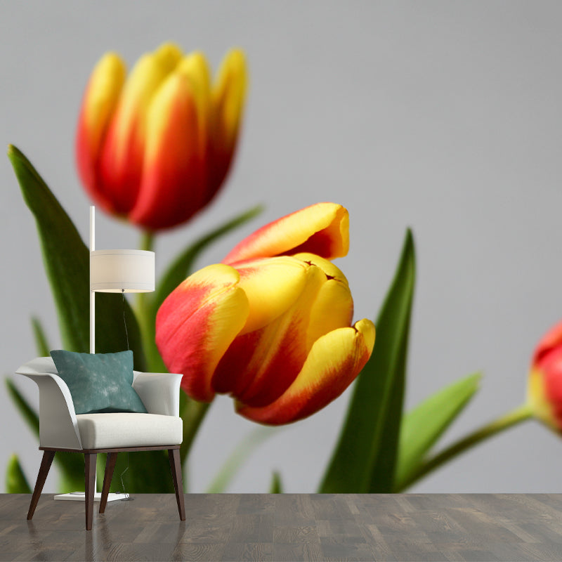 Colorful Tulip Flowers Mural Wallpaper Moisture Resistant for Sitting Room