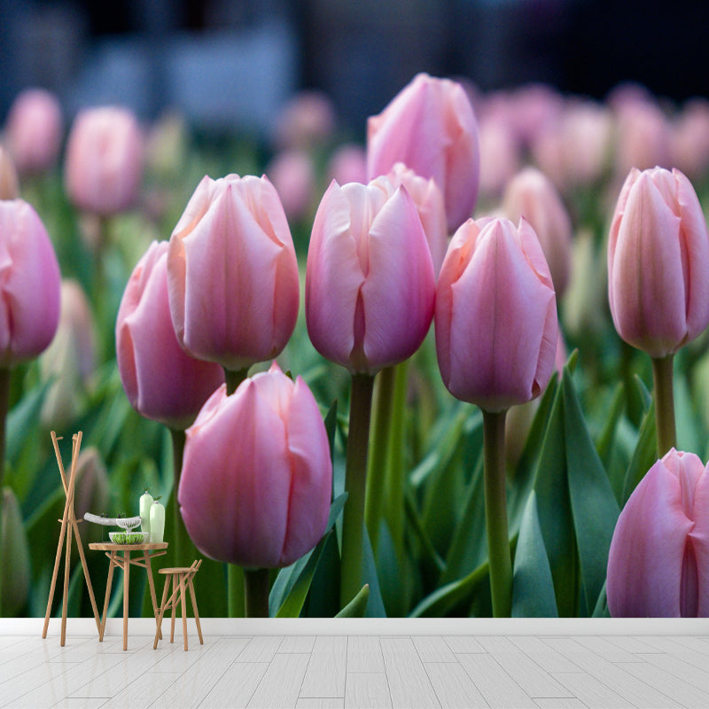 Colorful Tulip Flowers Mural Wallpaper Moisture Resistant for Sitting Room