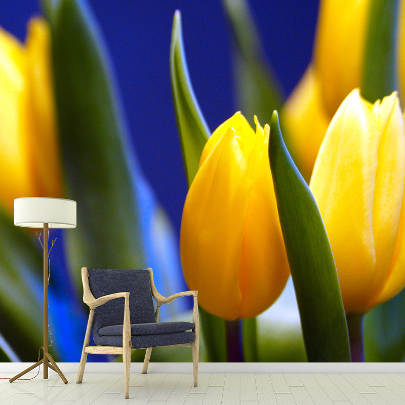 Colorful Tulip Flowers Mural Wallpaper Moisture Resistant for Sitting Room
