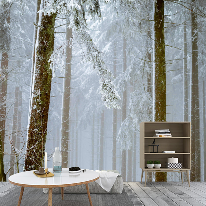 Winter Forest Mural Wallpaper Modern Decorative Washable, Custom Size Available