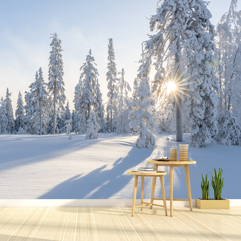 Winter Forest Mural Wallpaper Modern Decorative Washable, Custom Size Available