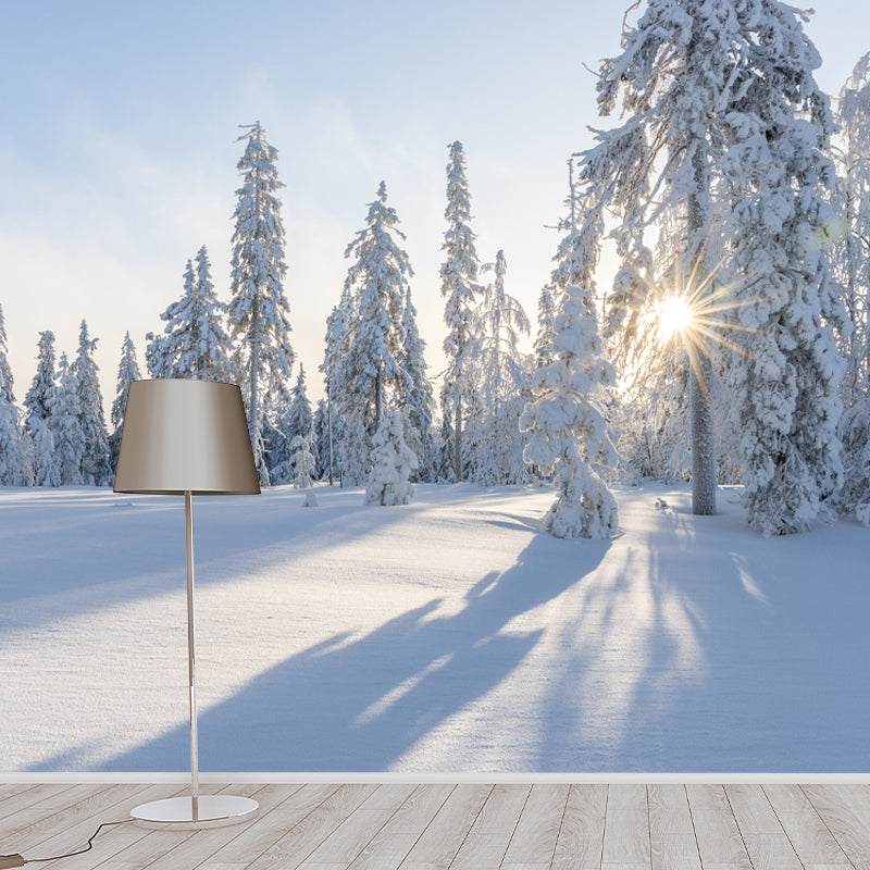 Winter Forest Mural Wallpaper Modern Decorative Washable, Custom Size Available