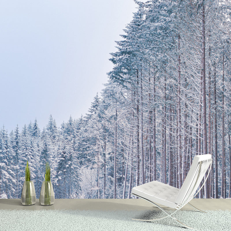 Winter Forest Mural Wallpaper Modern Decorative Washable, Custom Size Available