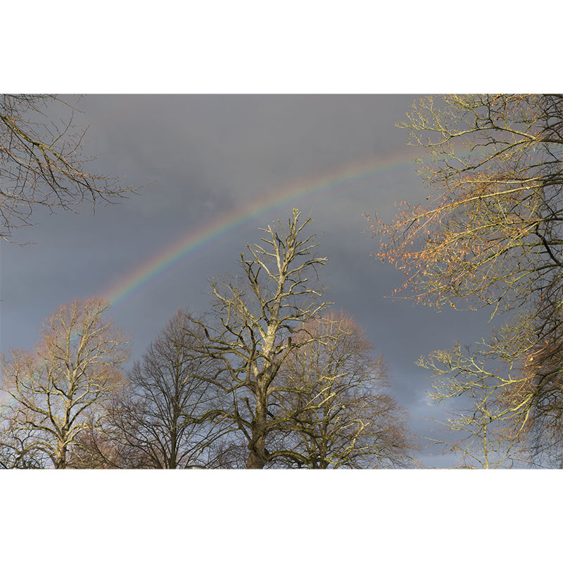 Rainbow Sky Mural Wallpaper for Wall Decor Contemporary Girls Room Water Resistant