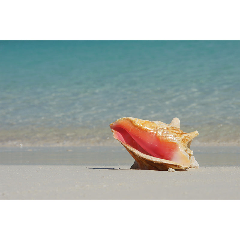 Sand of Beach Removable Wall Mural for Gust Room Bedroom, Moisture Resistant