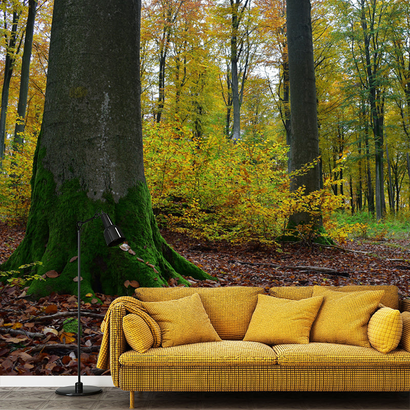 Forest Photo Mural Wallpaper for Living Room Decor, Custom Size Available