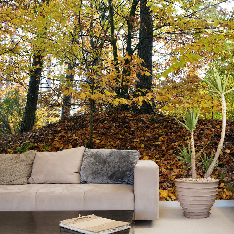 Forest Landscape Wall Murals Moisture Resistant Wall Covering for Gust Room