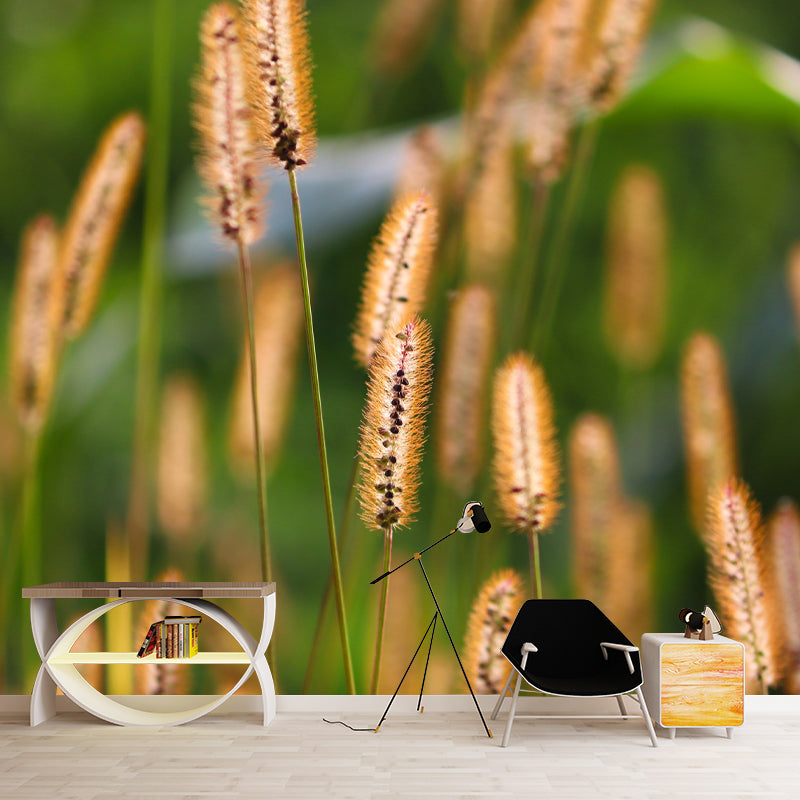 Setaria Plant Moisture Resistant Wall Mural Living Room Wall Decor, Custom Size Available