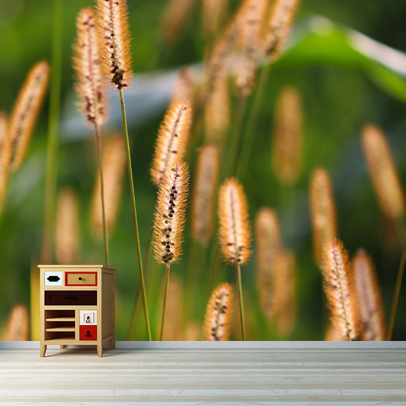 Setaria Plant Moisture Resistant Wall Mural Living Room Wall Decor, Custom Size Available