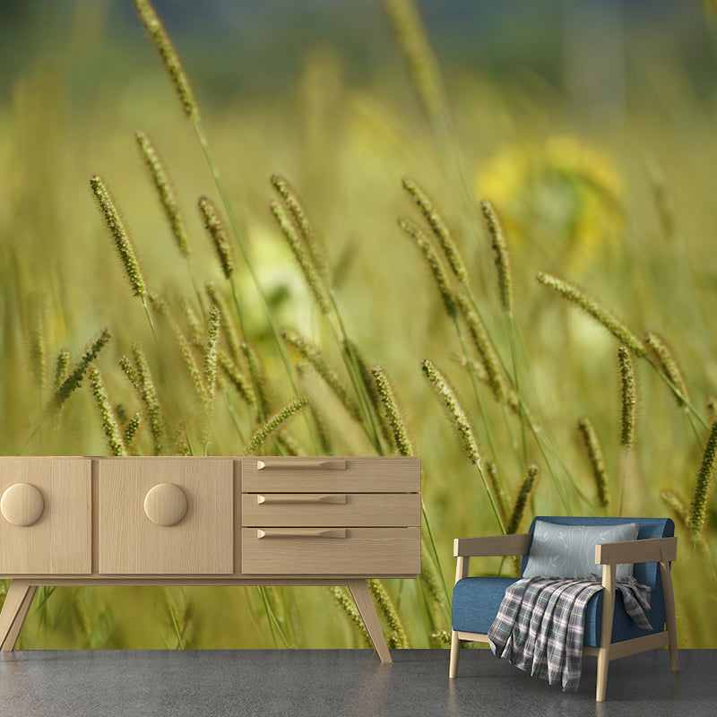 Setaria Plant Moisture Resistant Wall Mural Living Room Wall Decor, Custom Size Available