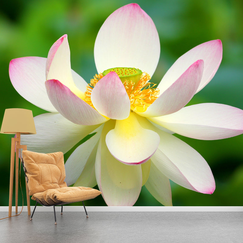 Water Plant Lotus Wall Mural Decal Water Resistant, Custom Size Available