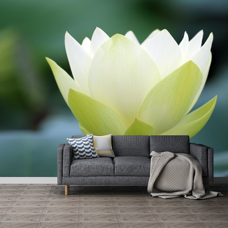 Water Plant Lotus Wall Mural Decal Water Resistant, Custom Size Available