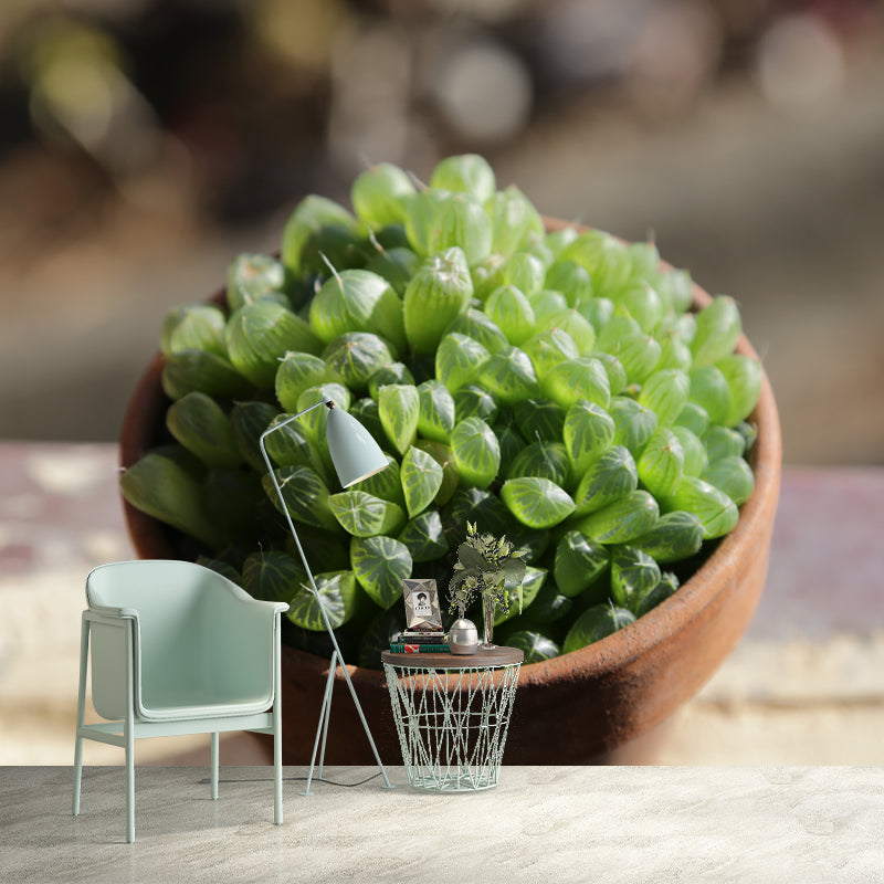 Green Plants Vinyl Wall Art Decor for Office Water Resistant, Custom Size Available