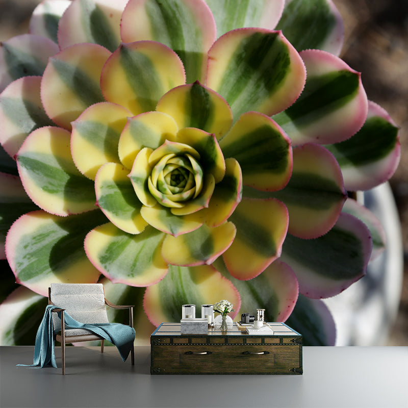 Green Plants Vinyl Wall Art Decor for Office Water Resistant, Custom Size Available