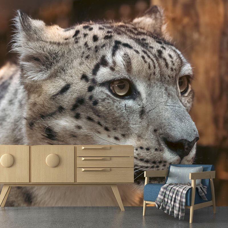 Leopard Animal Waterproof Wall Murals for Home Decoration, Custom Size Available