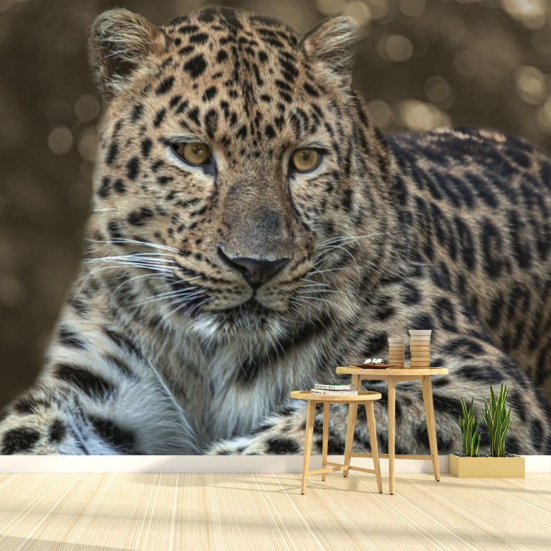 Leopard Animal Waterproof Wall Murals for Home Decoration, Custom Size Available