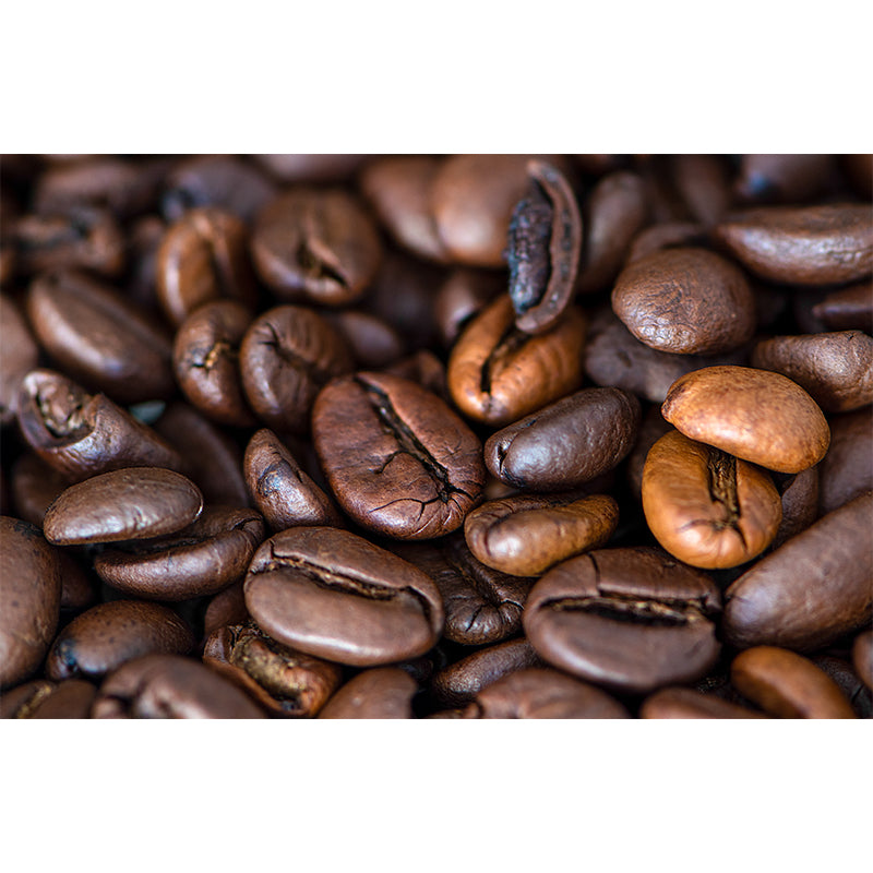 Coffee Beans Stain Resistant Coffee Shop Wall Covering, Made to Measure