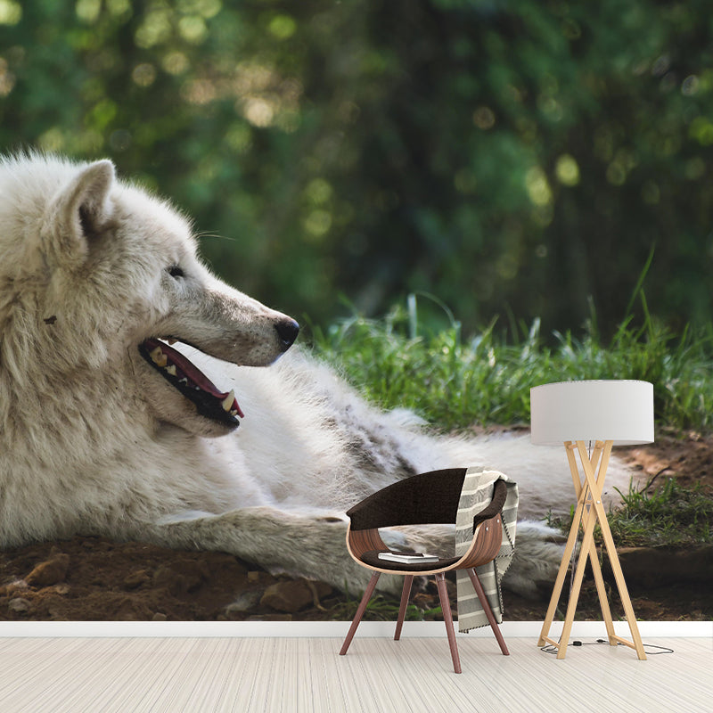 Contemporary Arctic Wolf Wall Mural Mildew Resistant Covering for Dining Room