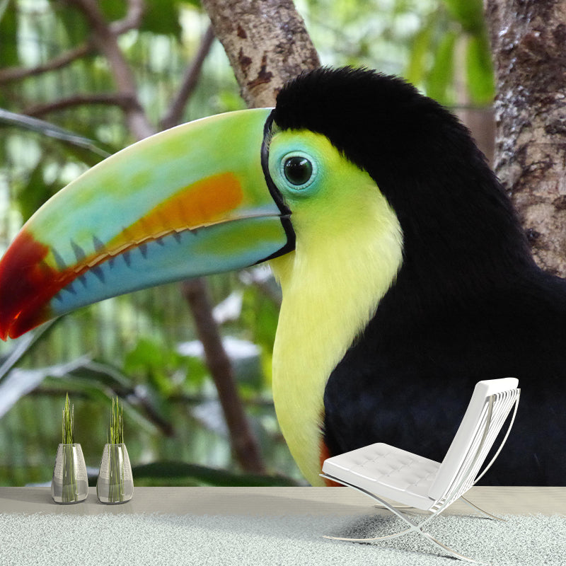 Customized Moisture Resistant Toucan Mural Wallpaper Environment Friendly Wall Decor