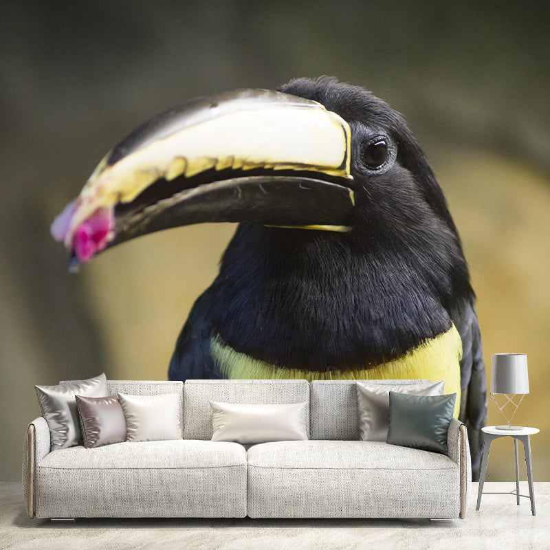 Customized Moisture Resistant Toucan Mural Wallpaper Environment Friendly Wall Decor