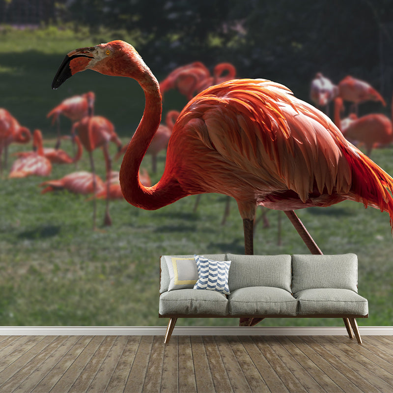 Tropical Flamingos Wall Mural Mildew Resistant Covering for Dining Room