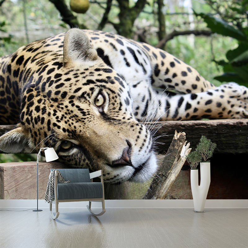 Customized Moisture Resistant Jaguar Mural Wallpaper Environment Friendly Wall Decor