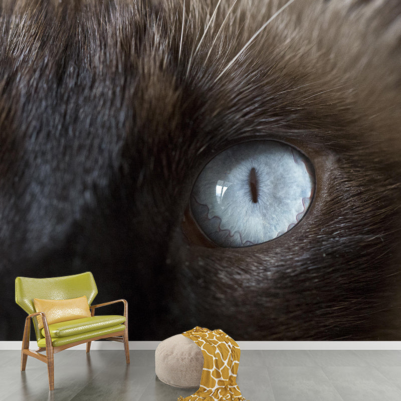 Customized Moisture Resistant Cat Eye Mural Wallpaper Environment Friendly Wall Decor