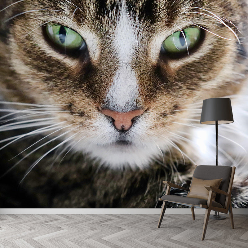 Customized Moisture Resistant Cat Eye Mural Wallpaper Environment Friendly Wall Decor
