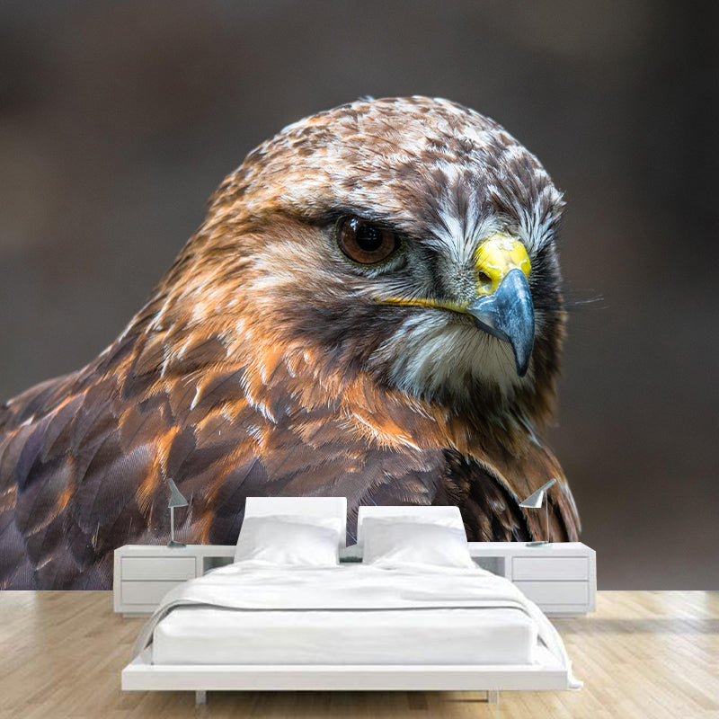 Customized Moisture Resistant Buzzard Mural Wallpaper Decal Environment Friendly Wall Decor