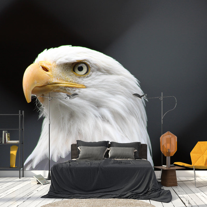 Customized Moisture Resistant Buzzard Mural Wallpaper Decal Environment Friendly Wall Decor
