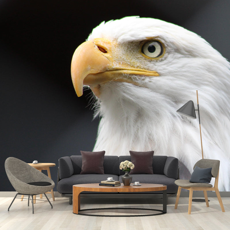 Customized Moisture Resistant Buzzard Mural Wallpaper Decal Environment Friendly Wall Decor