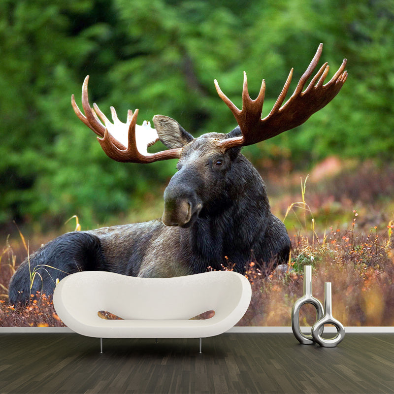 Moose Mural Decal Eco-friendly Wallpaper Customized Wall Covering for Sitting Room