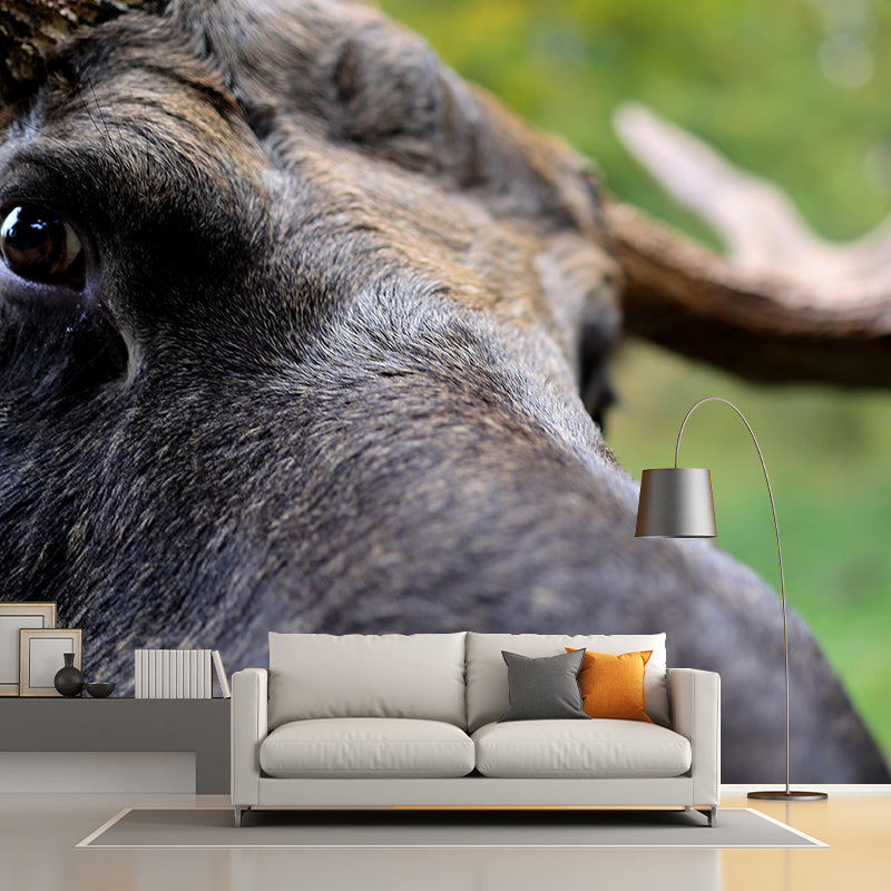 Moose Mural Decal Eco-friendly Wallpaper Customized Wall Covering for Sitting Room