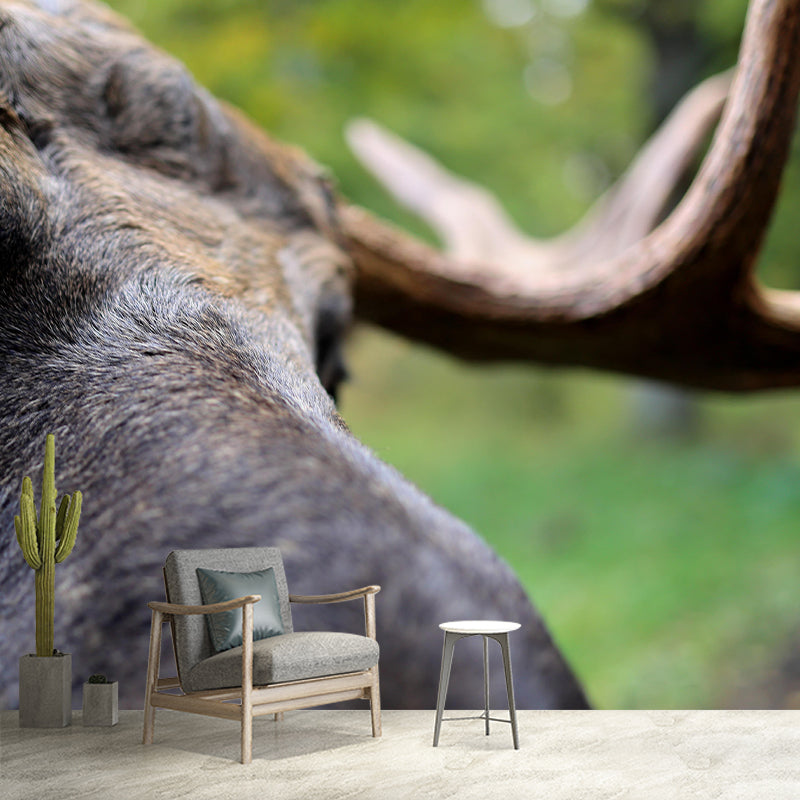 Moose Mural Decal Eco-friendly Wallpaper Customized Wall Covering for Sitting Room