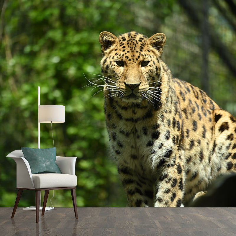 Amur Leopard Mural Decal Eco-friendly Wallpaper Customized Wall Covering for Sitting Room