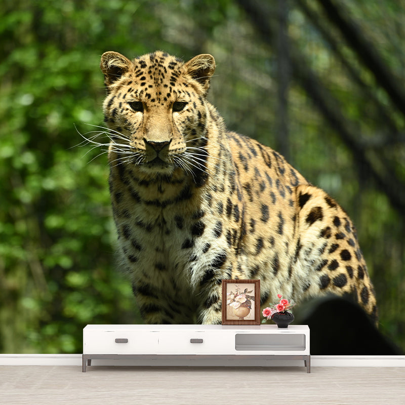 Amur Leopard Mural Decal Eco-friendly Wallpaper Customized Wall Covering for Sitting Room