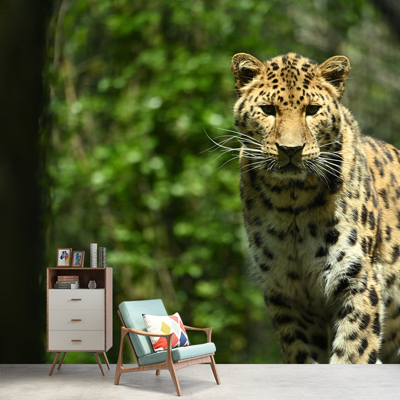 Amur Leopard Mural Decal Eco-friendly Wallpaper Customized Wall Covering for Sitting Room