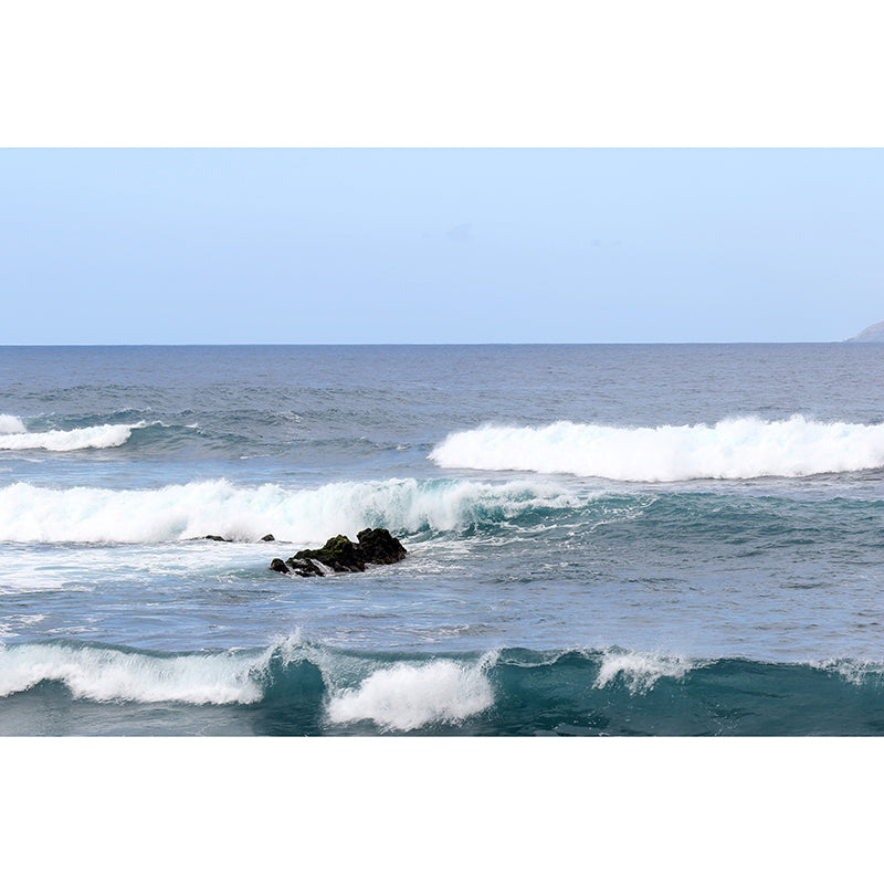 Customized Moisture Resistant Mural Decal Environment Friendly for Bathroom