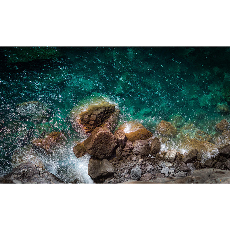 Contemporary Sea Wall Mural Mildew Resistant Covering for Dining Room Bathroom