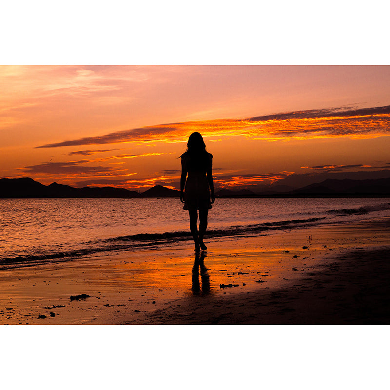 Beautiful Sea Mural Decal Decorative Modern Style Moisture Resistant for Sitting Room