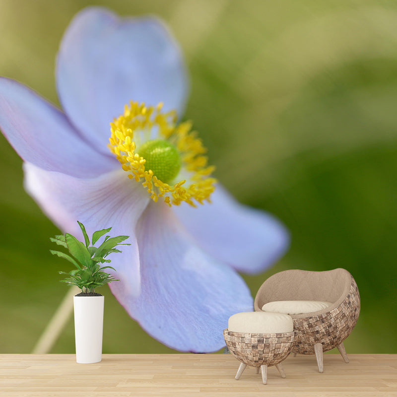 Customized Moisture Resistant Mural Wallpaper Decal Autumn Anemone Wall Decor