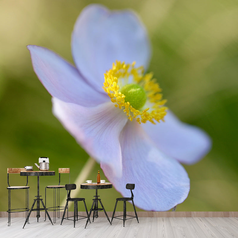Customized Moisture Resistant Mural Wallpaper Decal Autumn Anemone Wall Decor