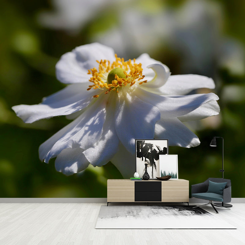 Customized Moisture Resistant Mural Wallpaper Decal Autumn Anemone Wall Decor