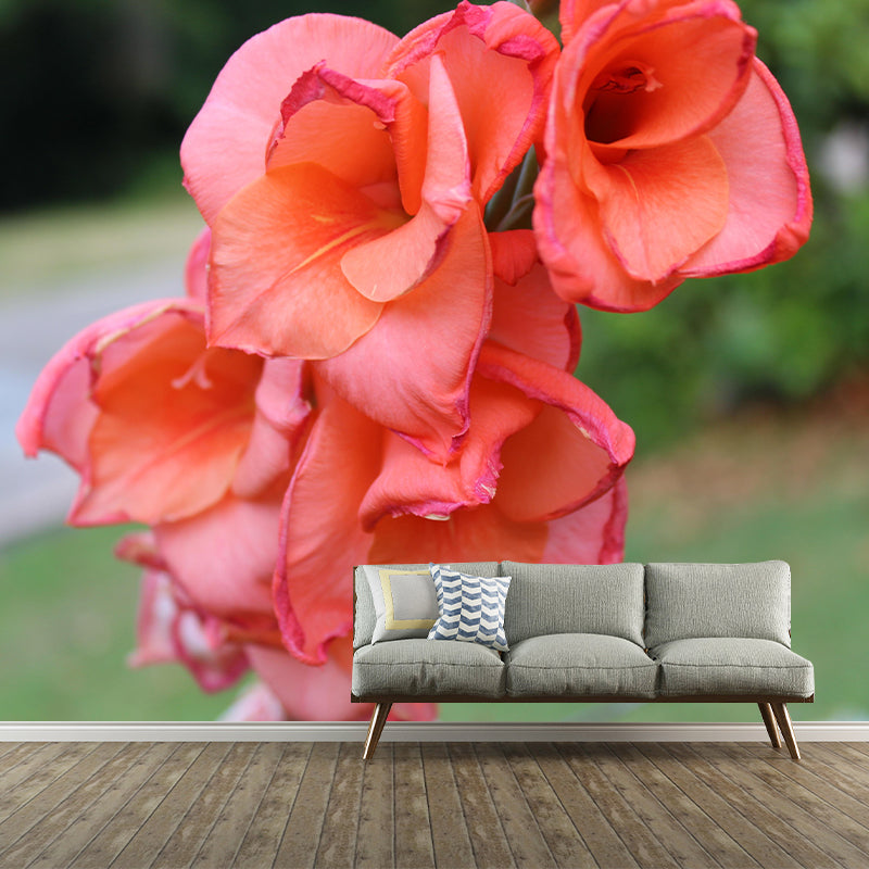 Gladiolus Mural Decal Modern Style Moisture Resistant for Sitting Room
