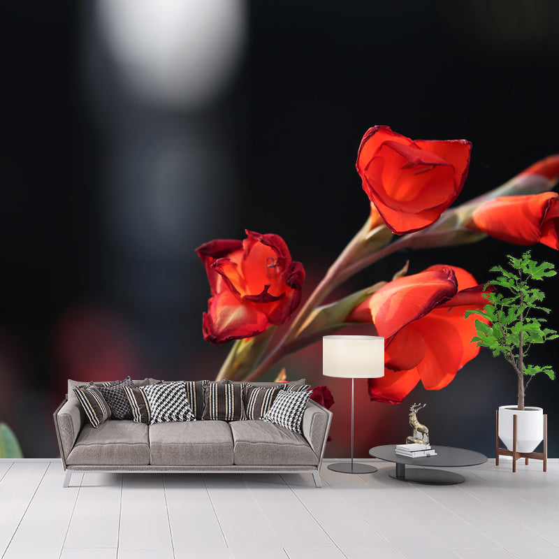 Gladiolus Mural Decal Modern Style Moisture Resistant for Sitting Room
