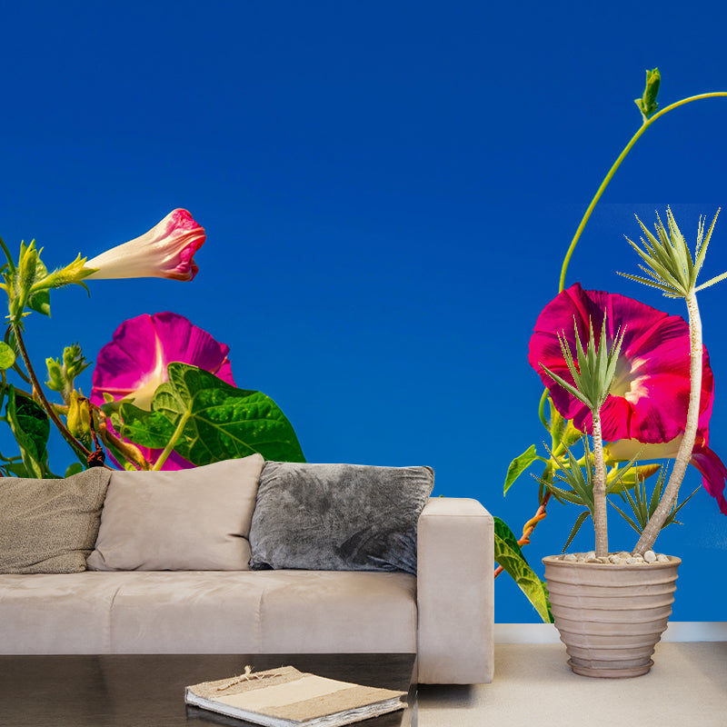 Customized Moisture Resistant Mural Wallpaper Decal Morning Glory Wall Decor