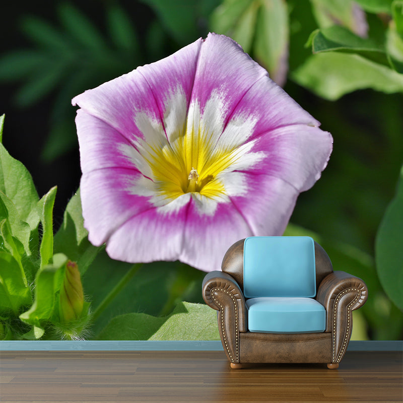 Customized Moisture Resistant Mural Wallpaper Decal Morning Glory Wall Decor